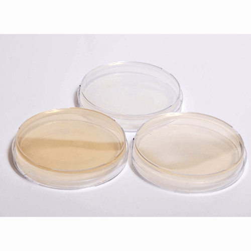 Petri Dish Polystyrene | Lab Consumables | Science Equip AU